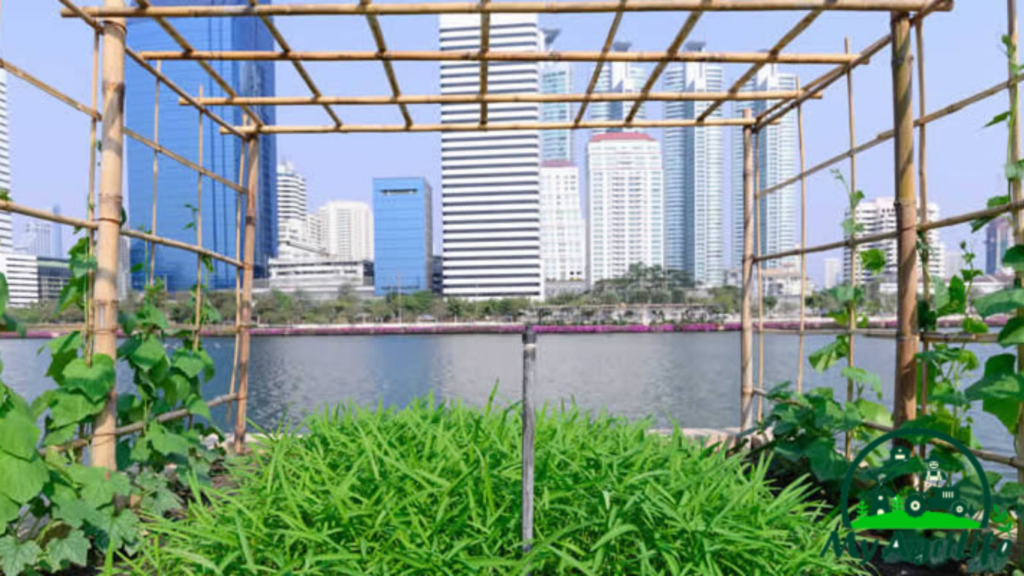 Canada urban farming