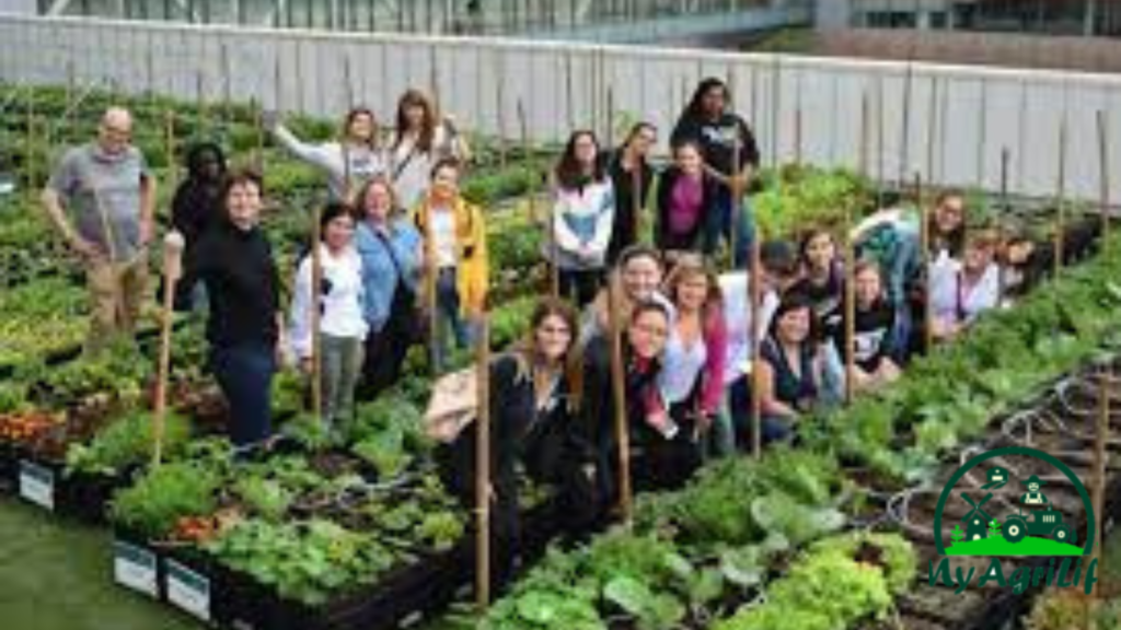 Canada urban farming