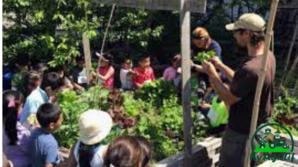 Canada urban farming