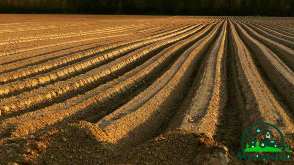 Soil preparation in agriculture, methods, and tips