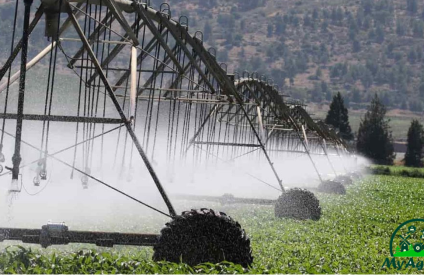 Smart Irrigation Systems: Precision Watering for Better Results