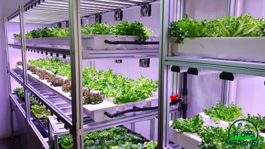 vertical farming