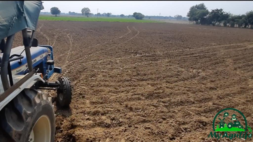 potato farming