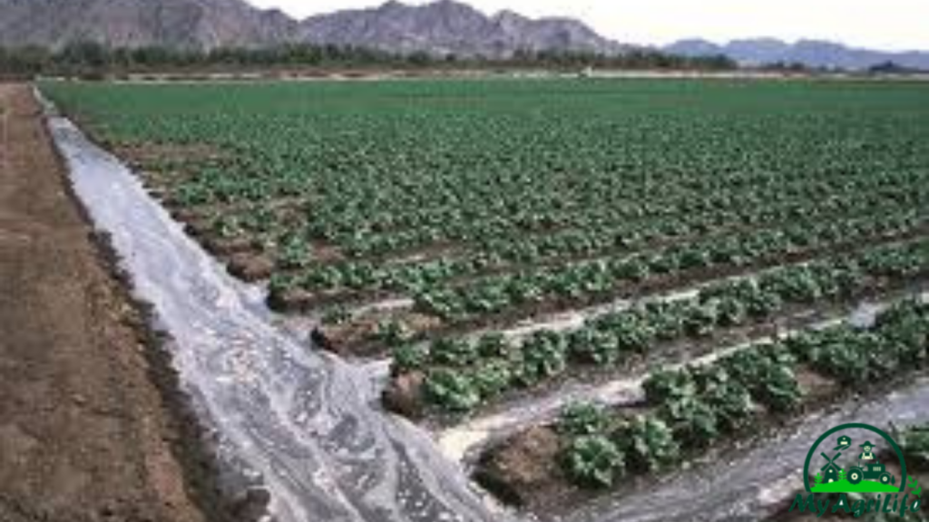 Irrigation Systems