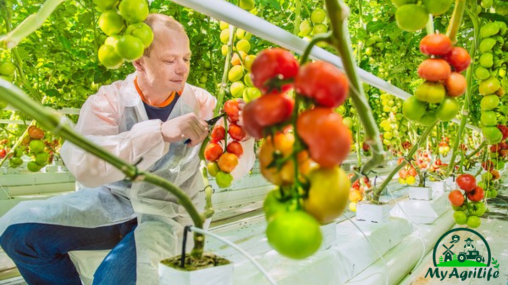 vertical farming