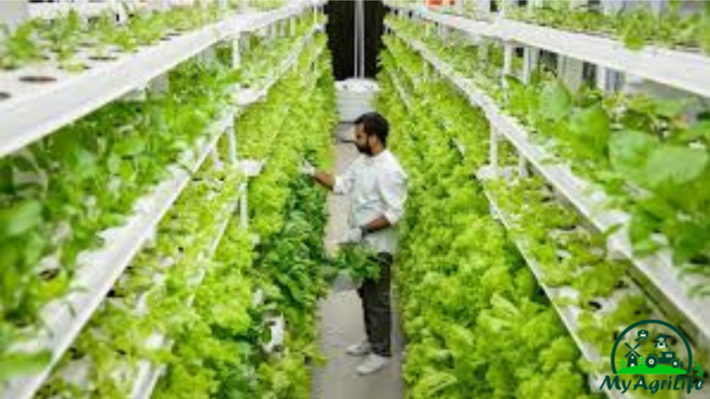 vertical farming