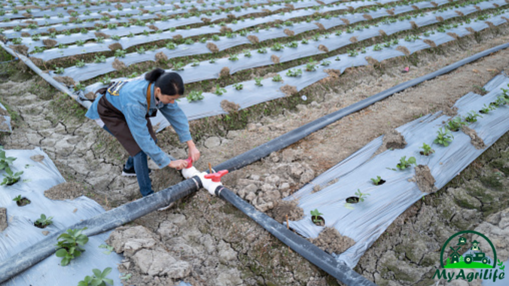 Irrigation Systems