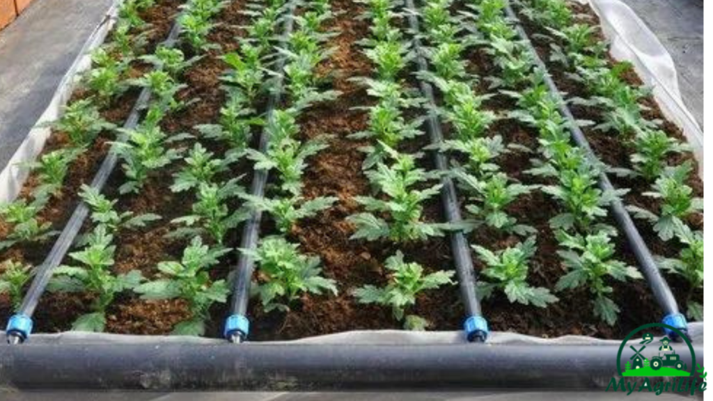 Irrigation Systems