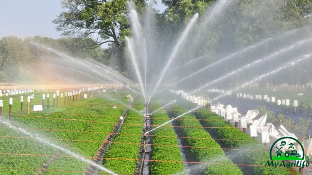 Irrigation Systems