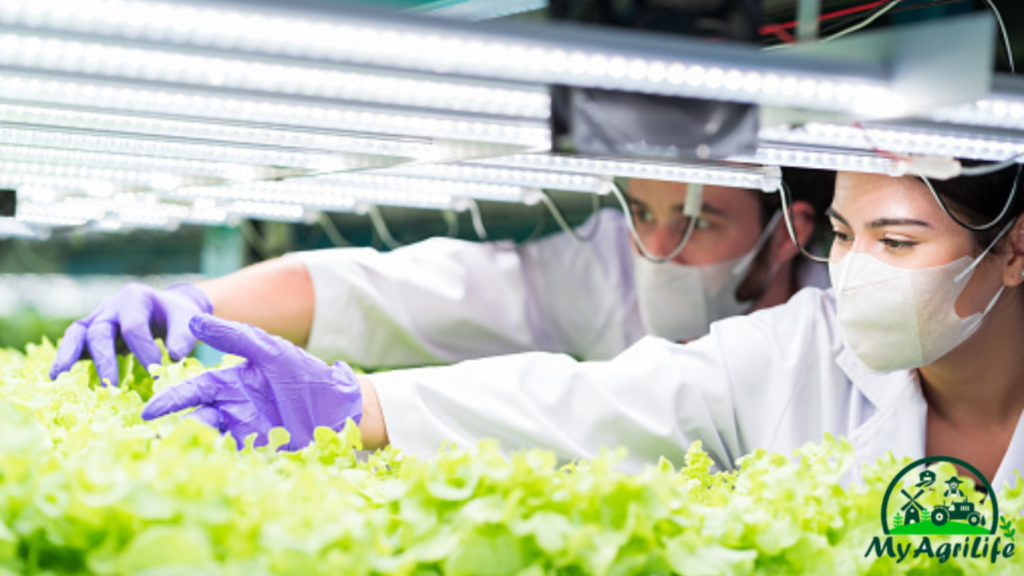 vertical farming