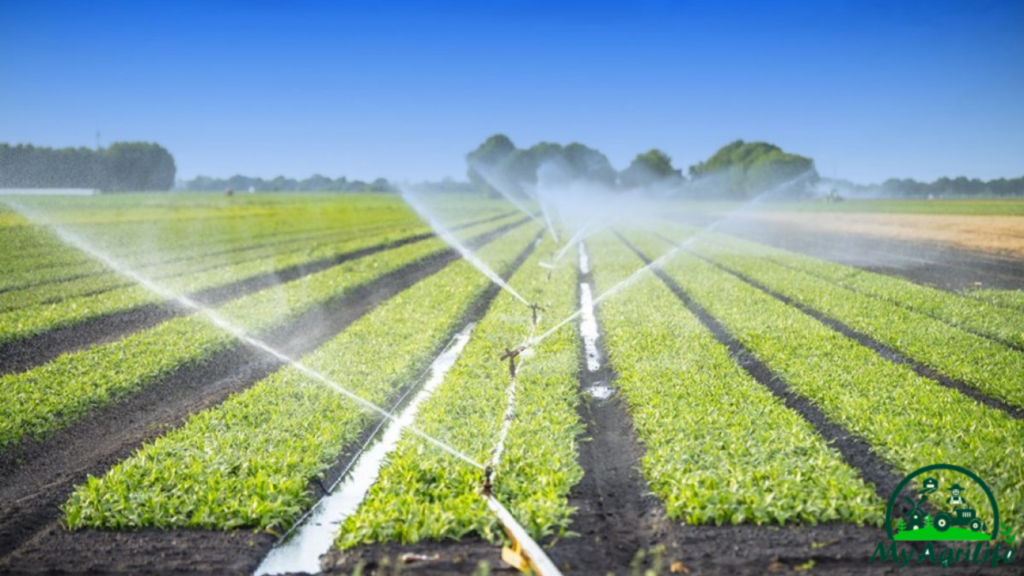 Irrigation Systems