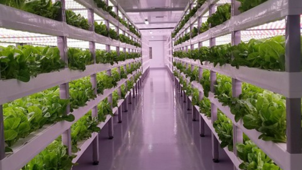 vertical farming