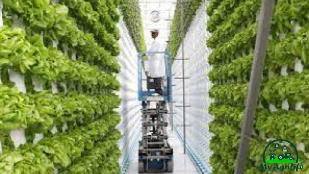 vertical farming