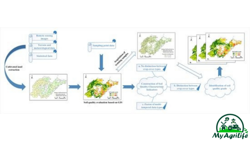 Satellite Data To Evaluate Crop Bioproductivity