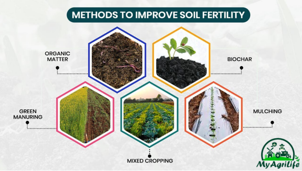 Soil Fertility: How To Measure, Preserve, And Improve