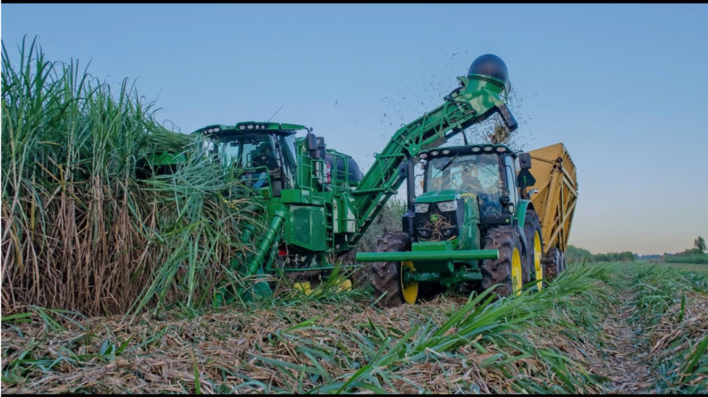 Sugarcane Harvest Monitoring In Brazil