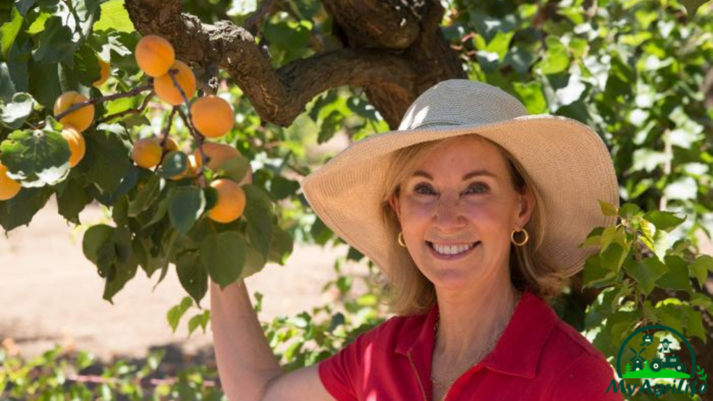 Apricot Farming