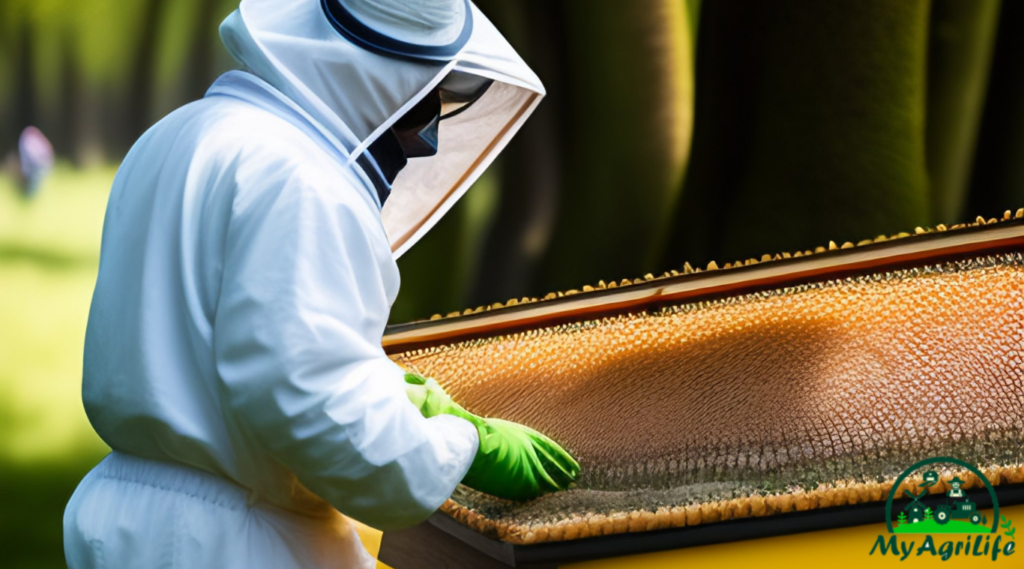 Beekeeping