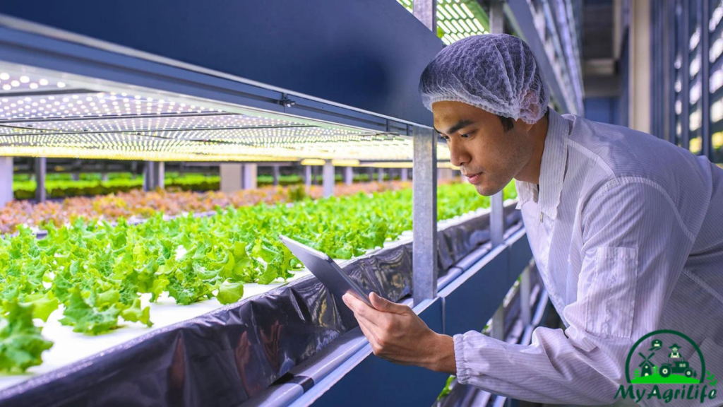 Hydroponics tecnology