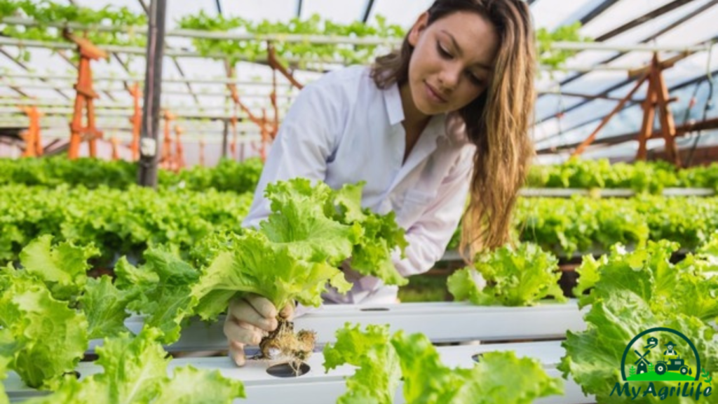 Hydroponics tecnology