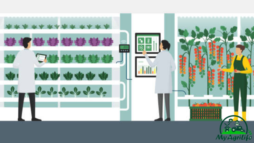 Hydroponics tecnology