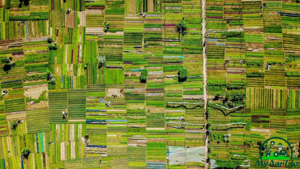 GIS in Agriculture