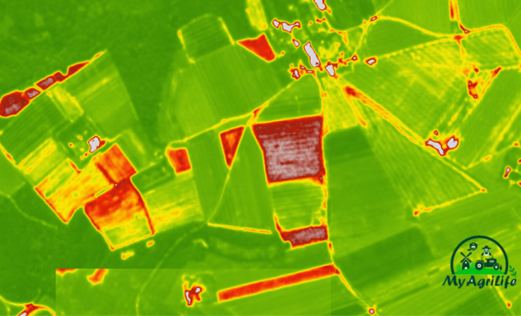 Satellite Data To Evaluate Crop Bioproductivity