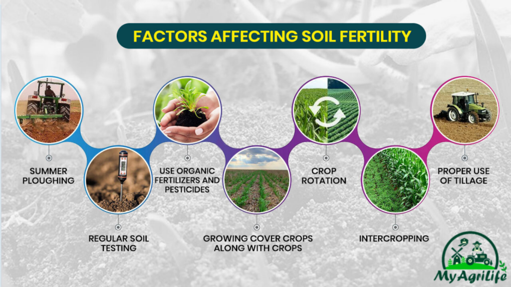 Soil Fertility: How To Measure, Preserve, And Improve