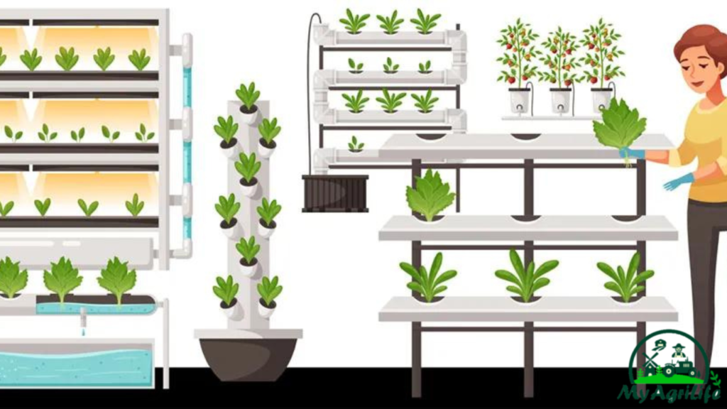 Hydroponics tecnology