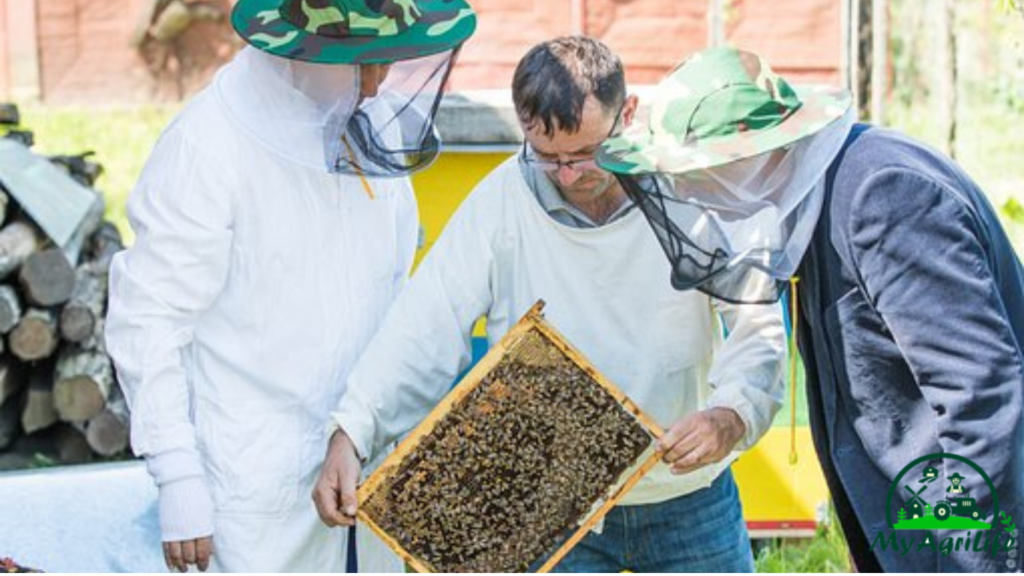 Beekeeping