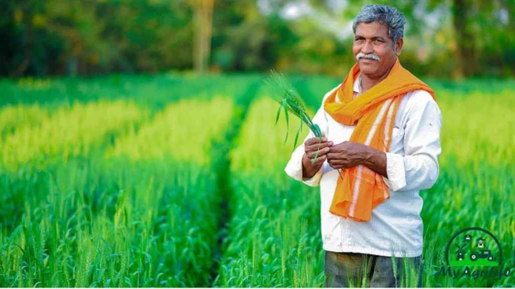 Sustainable farming