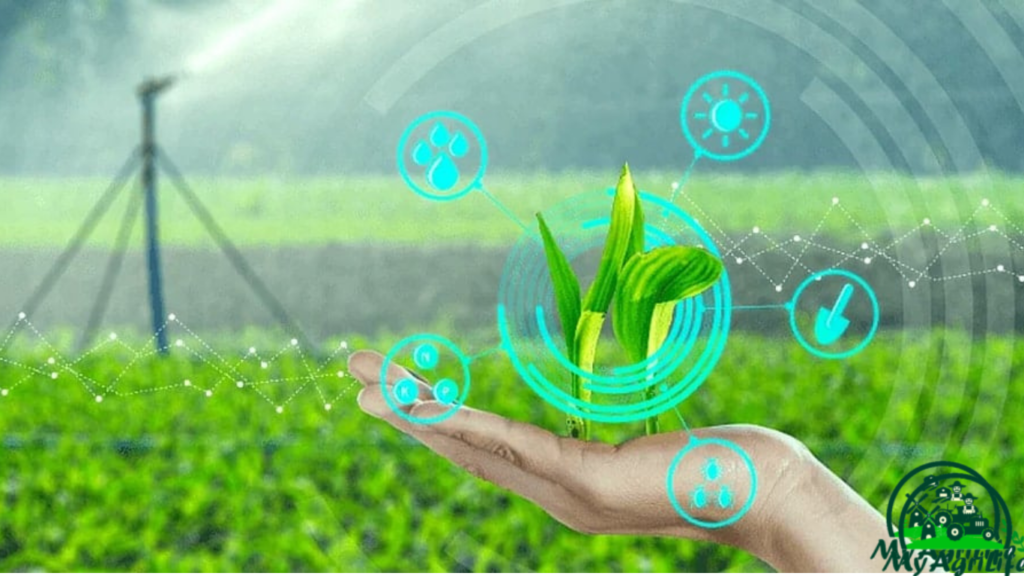 Agri in Blockchain Technology and ChatGP 