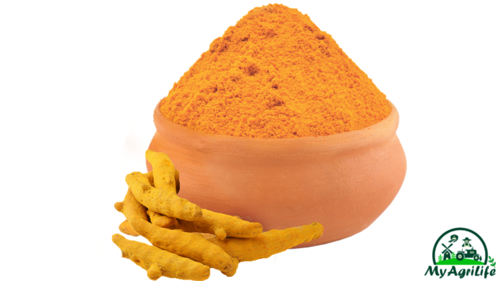 Turmeric