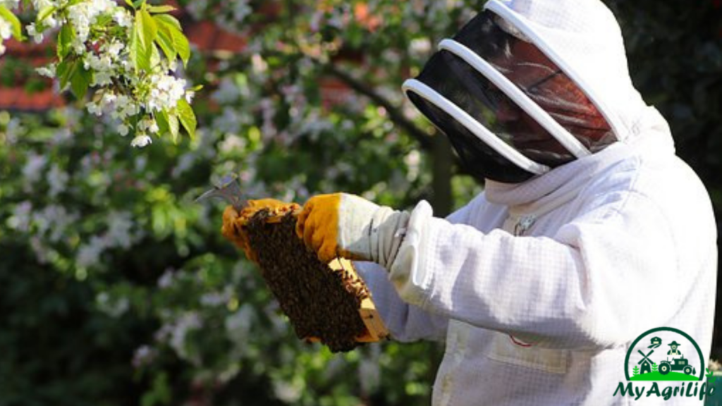 Beekeeping