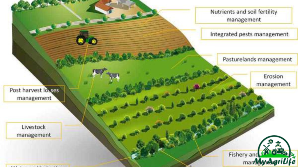 Sustainable farming