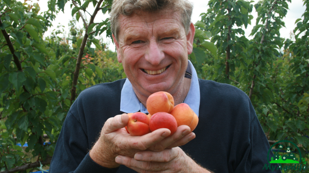 Apricot Farming