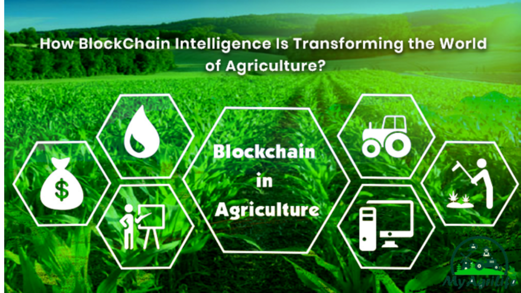 Agri in Blockchain Technology and ChatGP 