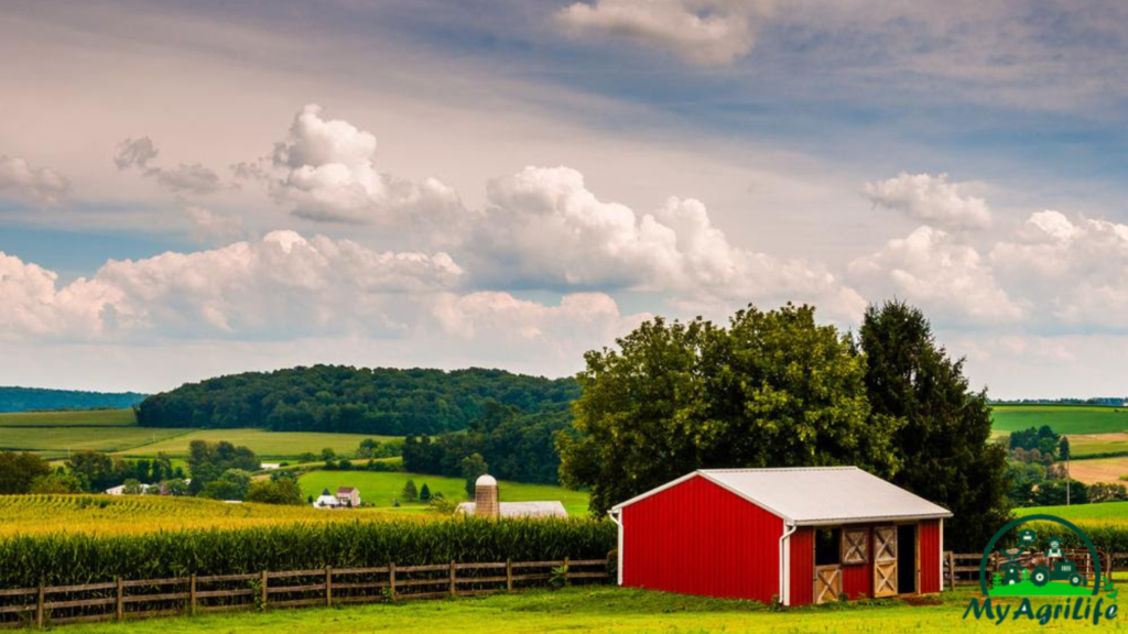 Eco-friendly Farming