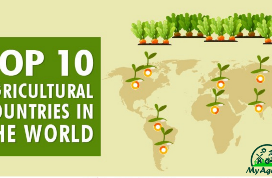 The Best Countries for Agriculture in the World