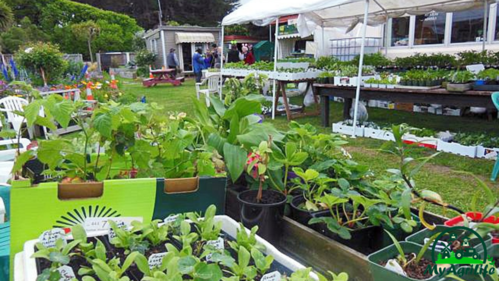 Community gardens