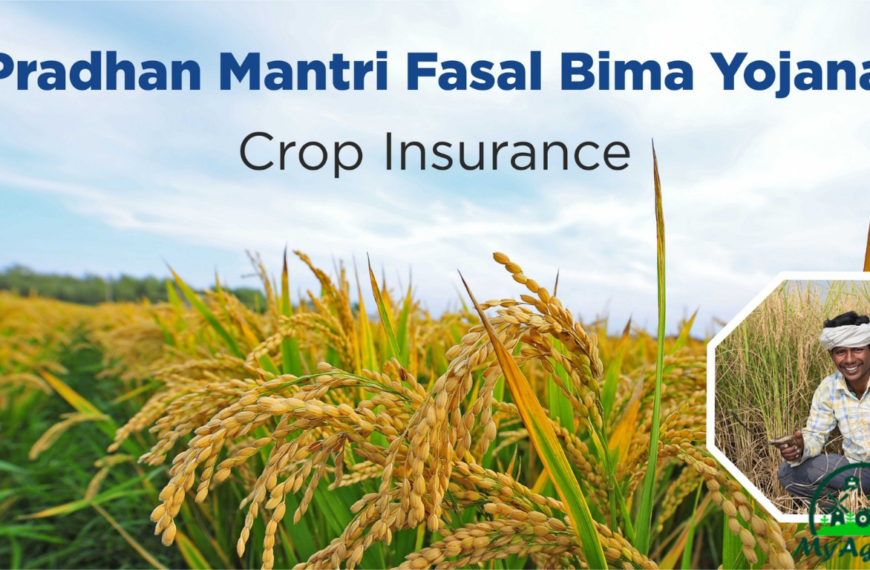 Pradhan Mantri Fasal Bima Yojana (PMFBY)