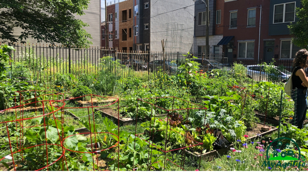 Community gardens