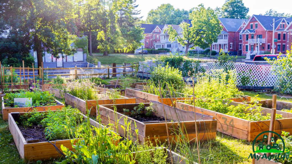 Community gardens