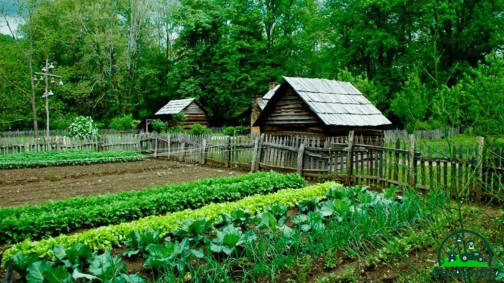  Eco-friendly Farming  