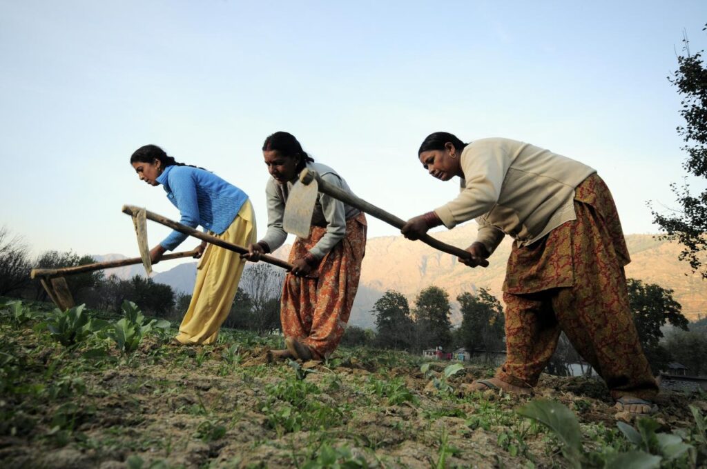 Women's Role in the Agricultural Revolution